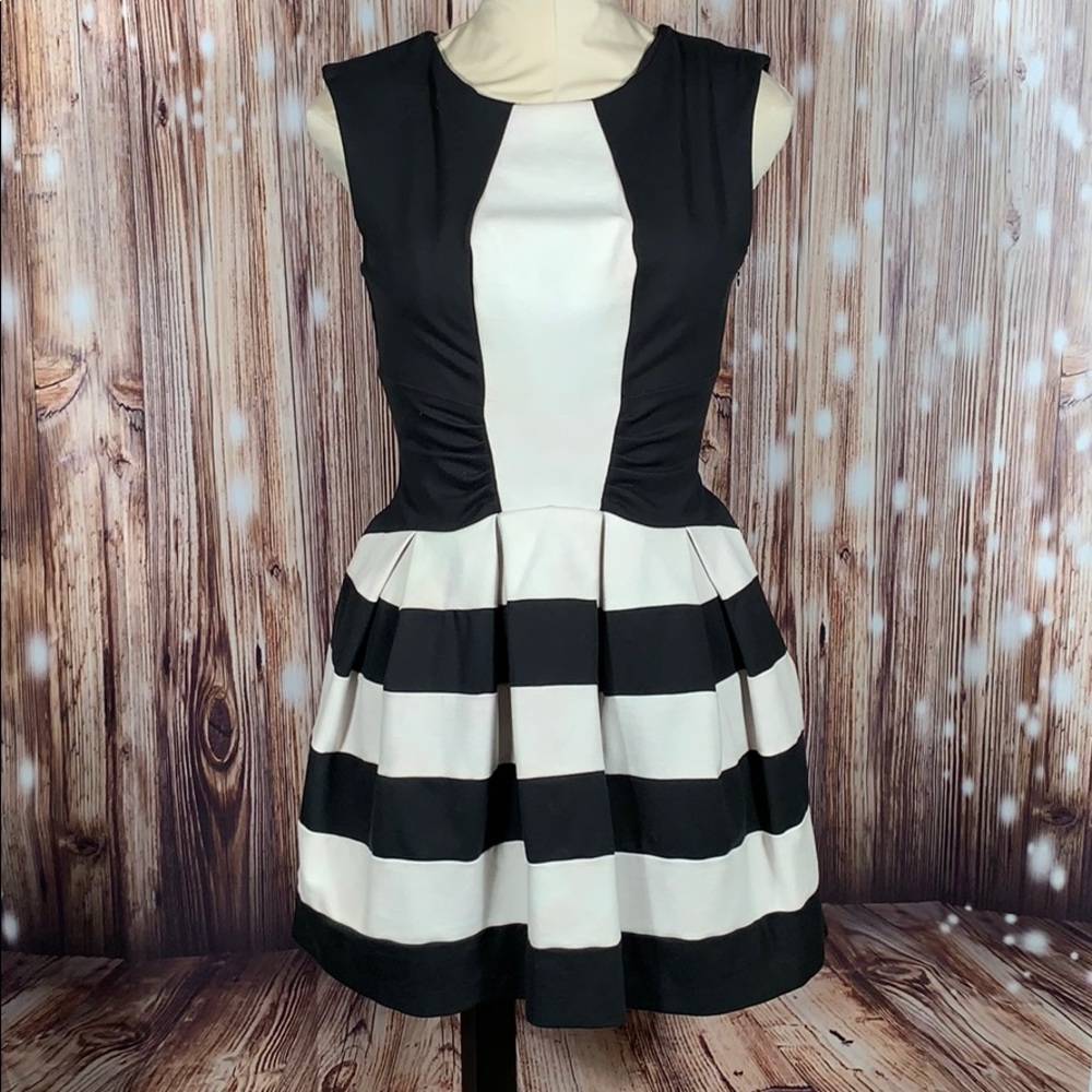 Anthropologie Eva Franco Black White Dress 4P